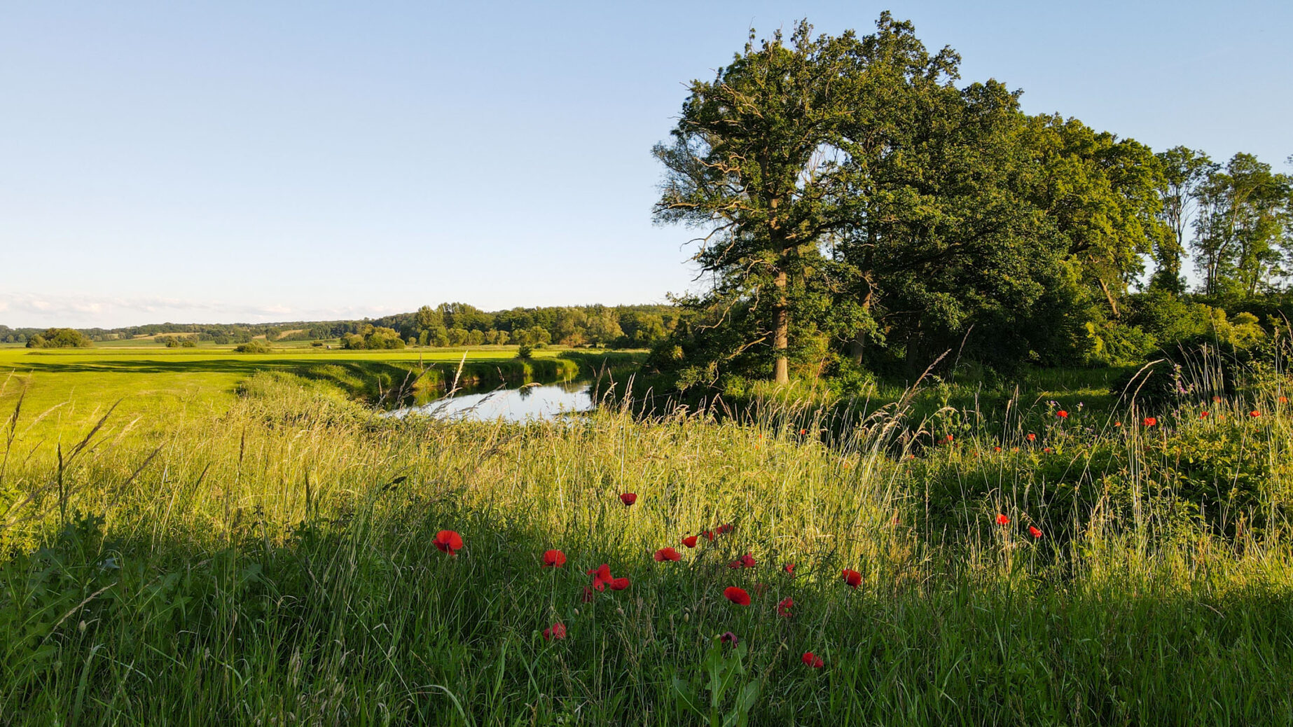 Tollense Valley. Never heard of it? Go there!