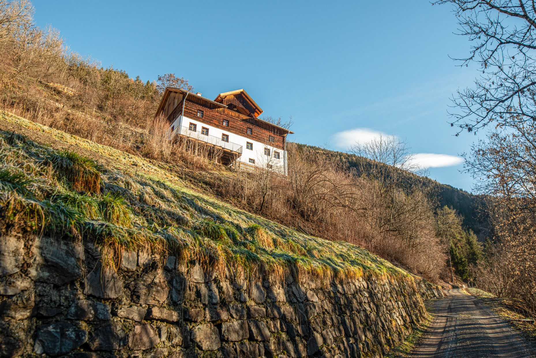 Buchhammerhof Martinsbach